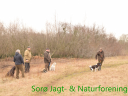 Hundetræning forår 2017